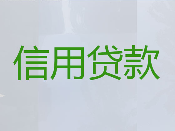 沧州贷款公司-银行信用贷款